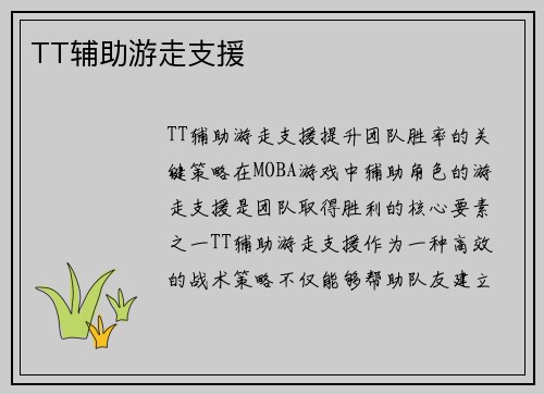 TT辅助游走支援
