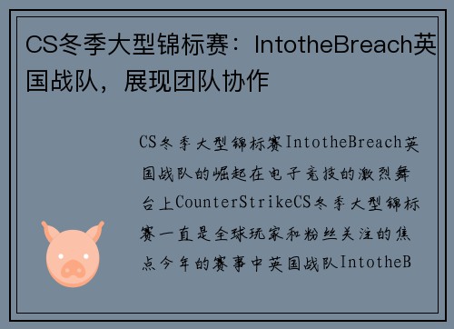CS冬季大型锦标赛：IntotheBreach英国战队，展现团队协作