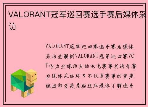 VALORANT冠军巡回赛选手赛后媒体采访