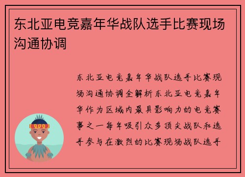 东北亚电竞嘉年华战队选手比赛现场沟通协调
