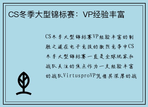 CS冬季大型锦标赛：VP经验丰富